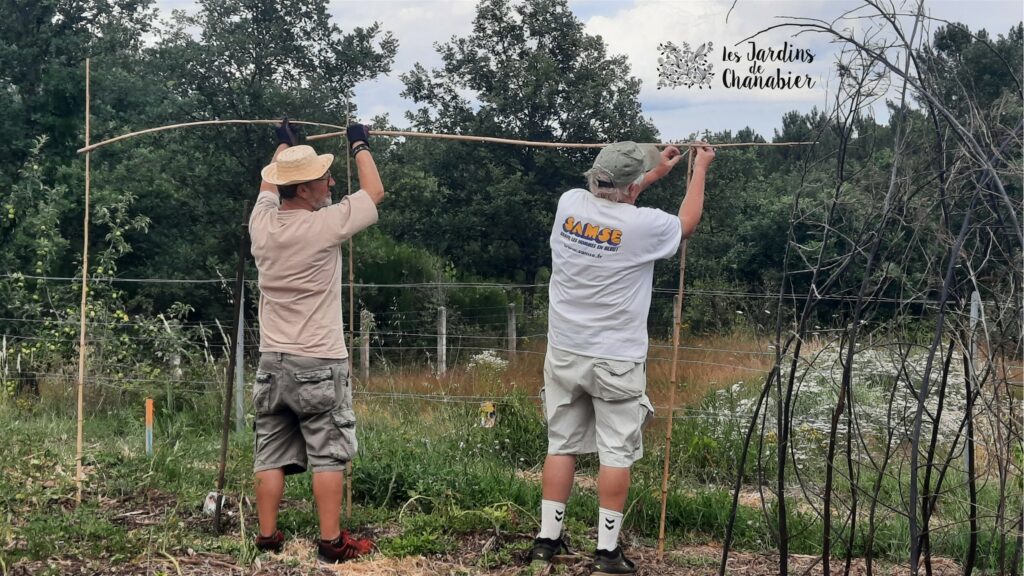 Dans le jardin partagé et solidaire, un travail en commun