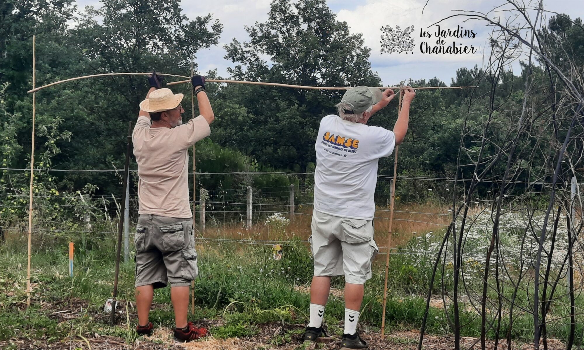 Dans le jardin partagé et solidaire, un travail en commun