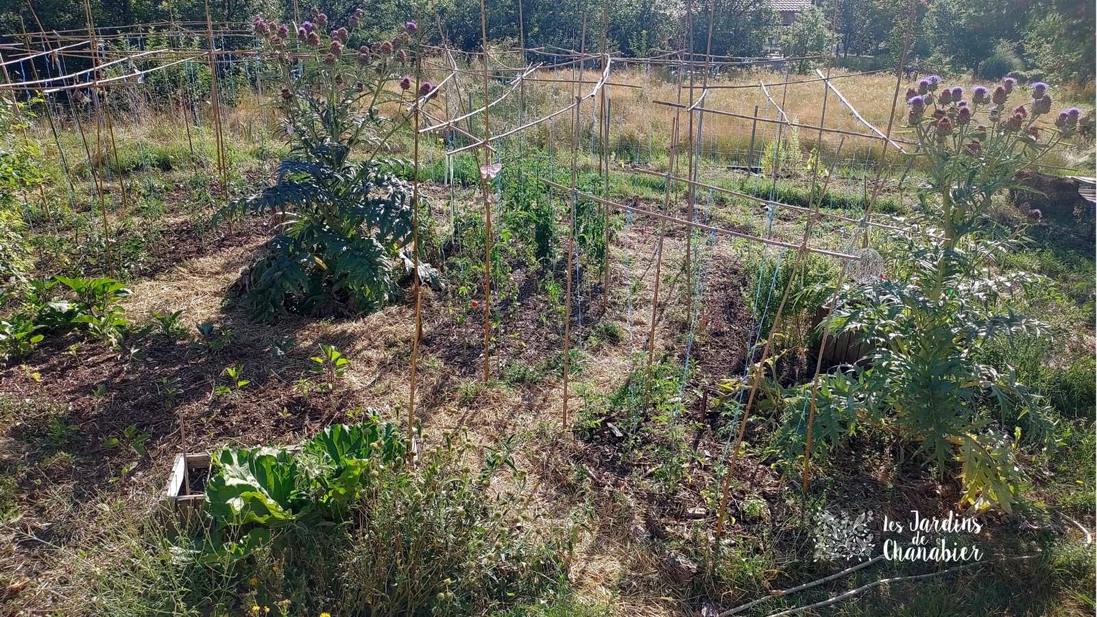 Mandala du Jardin Solidaire et Partagé